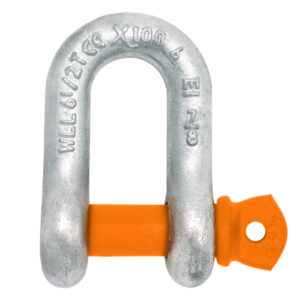 Screw Pin Chain Shackles