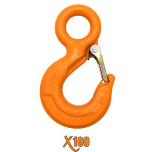 X100® Fixed Eye Hoist Hook with Latch